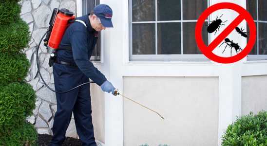 Bursa Uçan Haşere İlaçlama böcek ilaçlama ve haşere kontrolü — ilaclama-tr.com